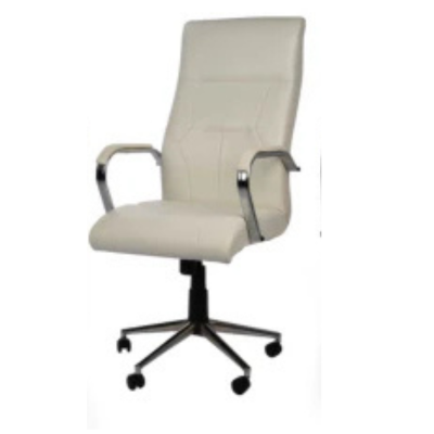 Fauteuil président TONINO Réf A0345